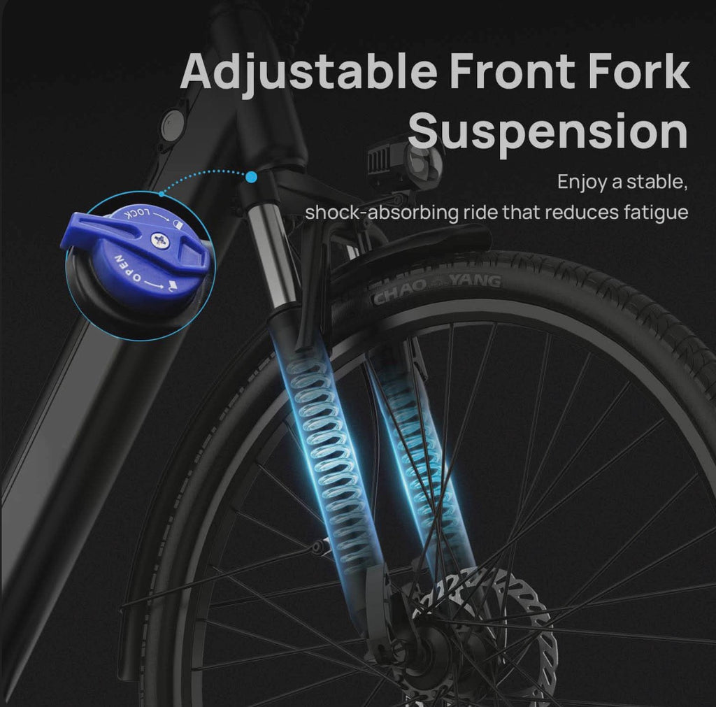 E80 EBike