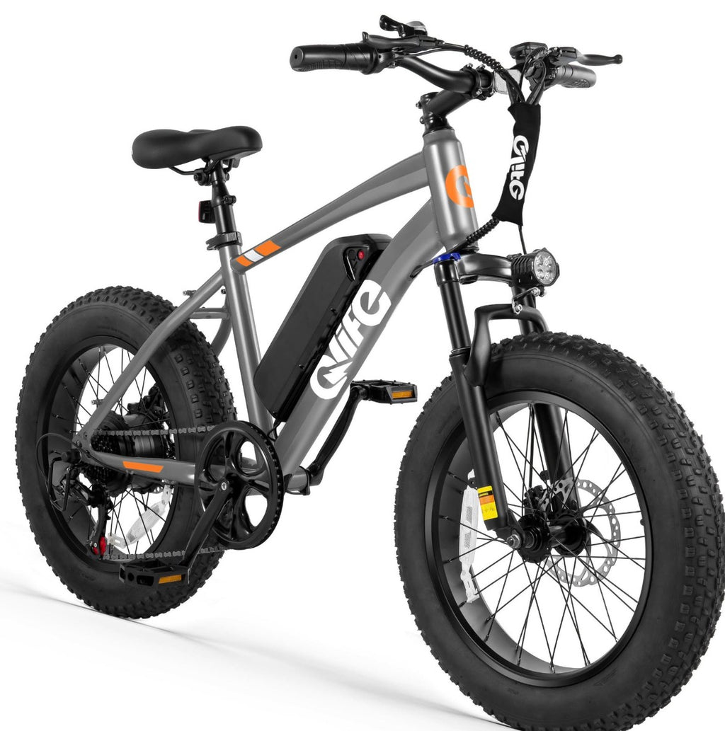 Qlife Racer Electric bike