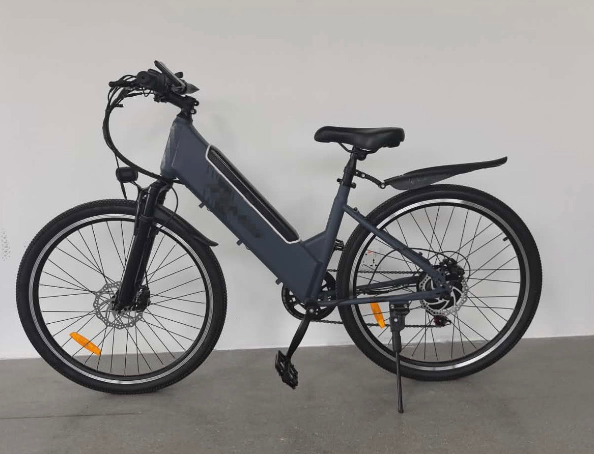 High Speed Electric Bike