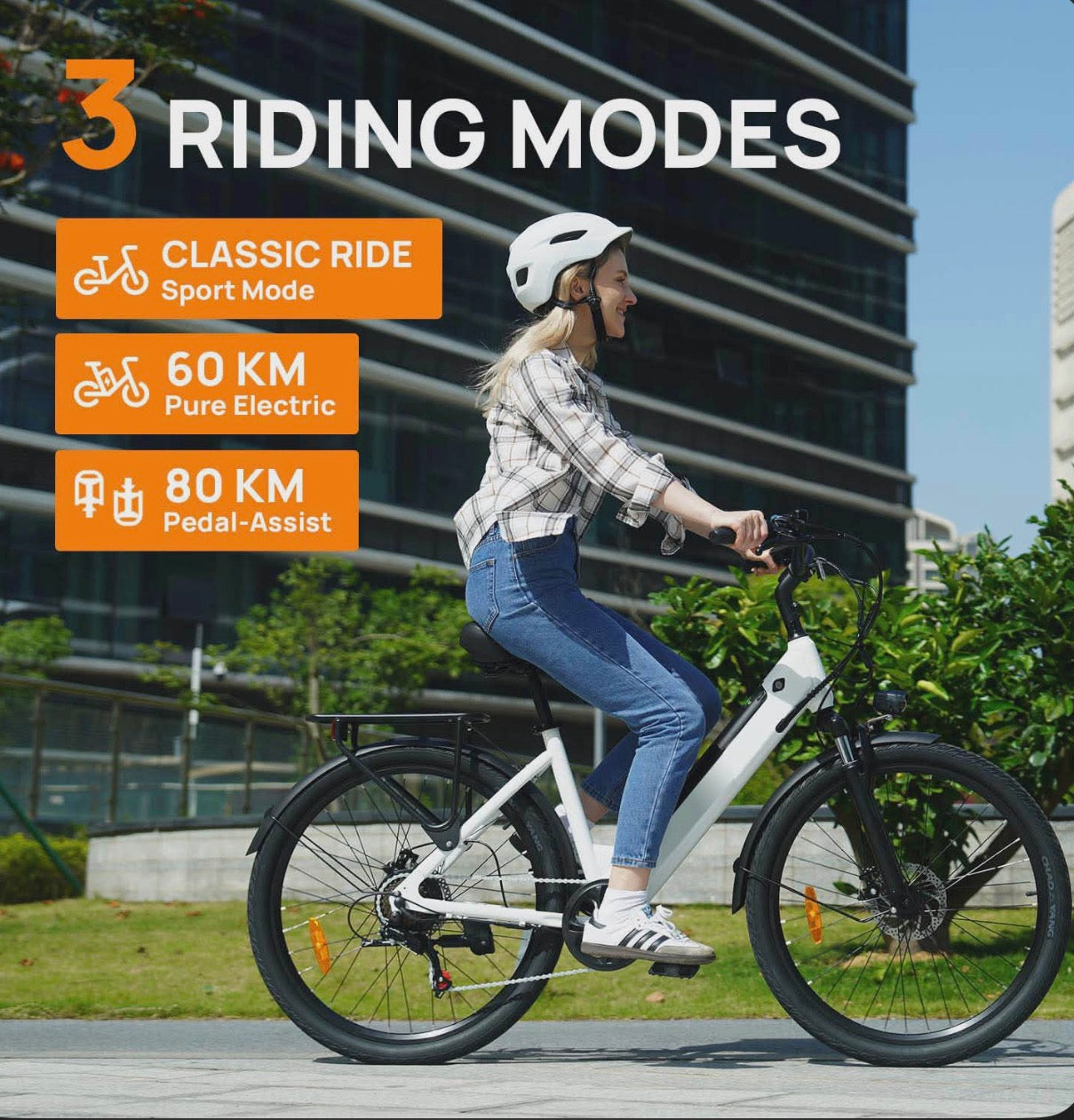 E80 EBike