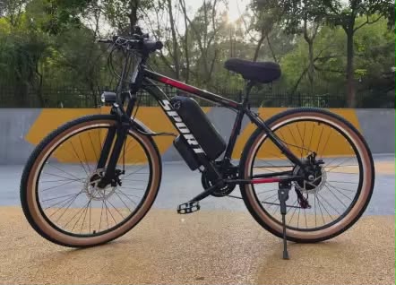 Electric Sport Bike